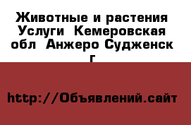 Животные и растения Услуги. Кемеровская обл.,Анжеро-Судженск г.